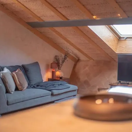 Eco Penthouse In Downtown With Rooftop & Parking Apartment